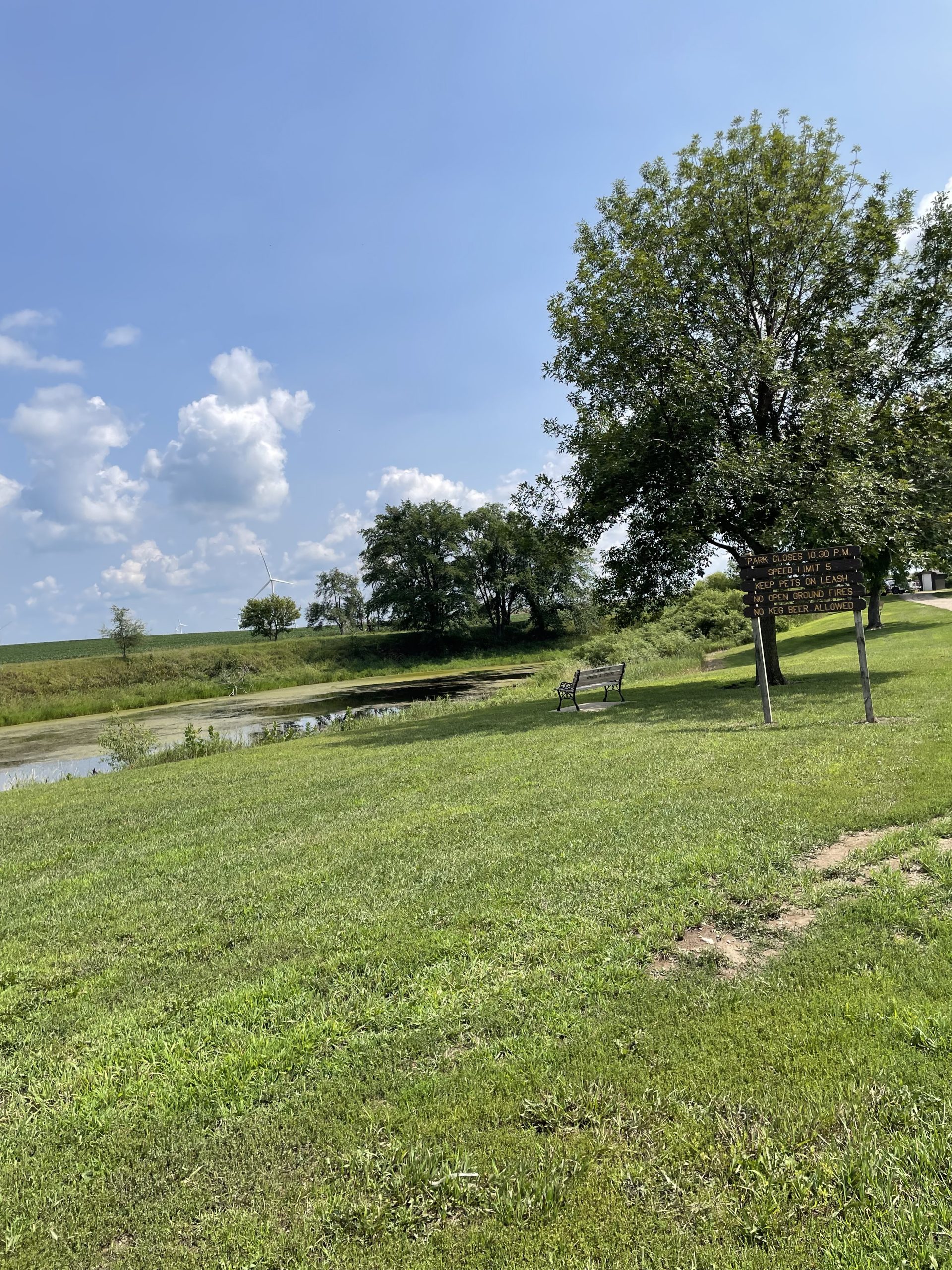 A serene park scene with a lush green field under a clear blue sky.