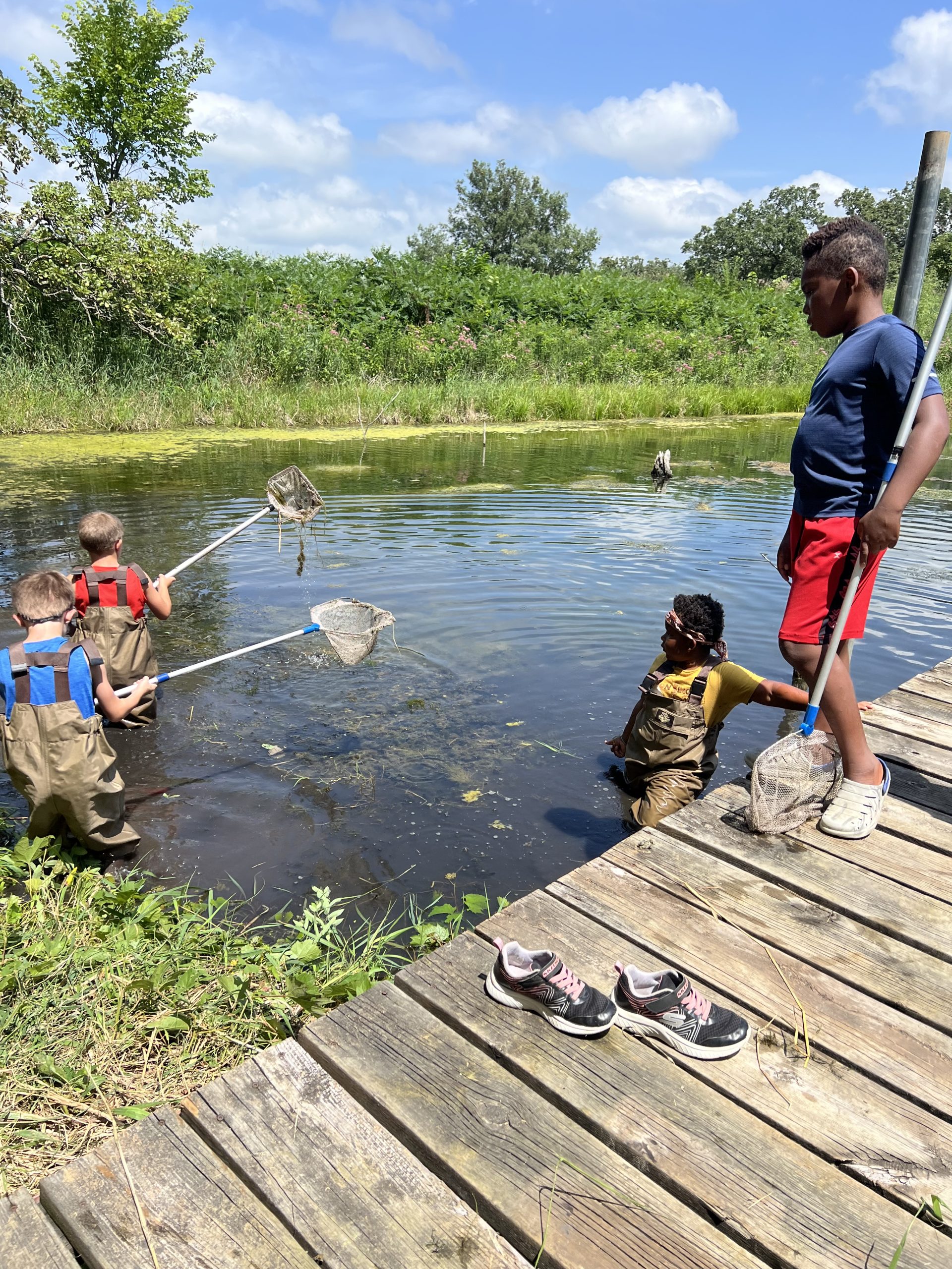 Children in overalls wade in a pond with nets, searching for water creatures.