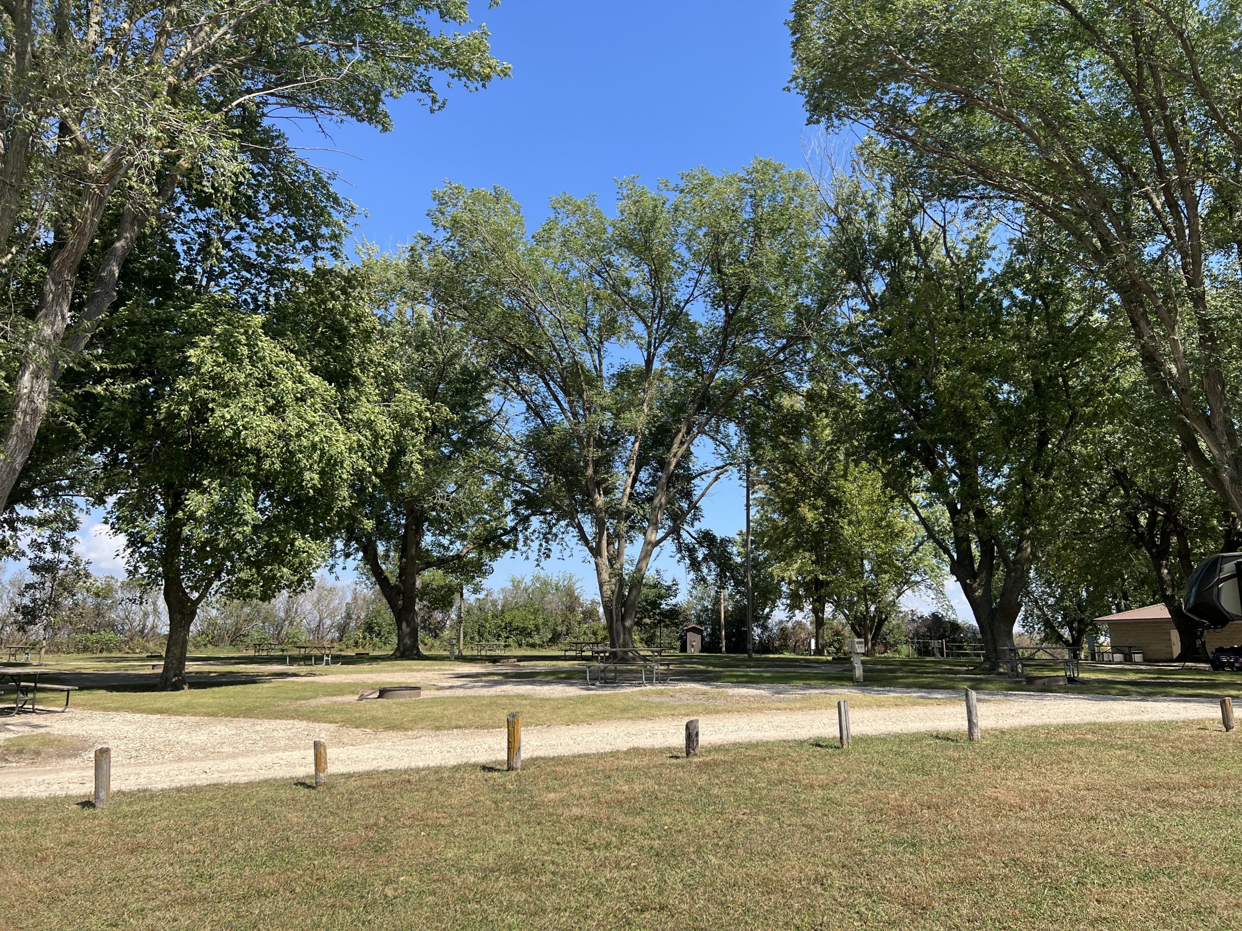 Campground with large green trees, road and camping spaces.