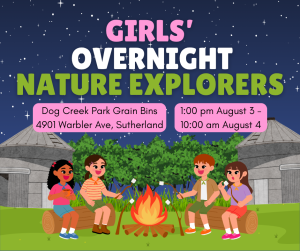 Girls’ Overnight Nature Explorers Camp  showing campfire with girls and night sky in front of bin cabins 