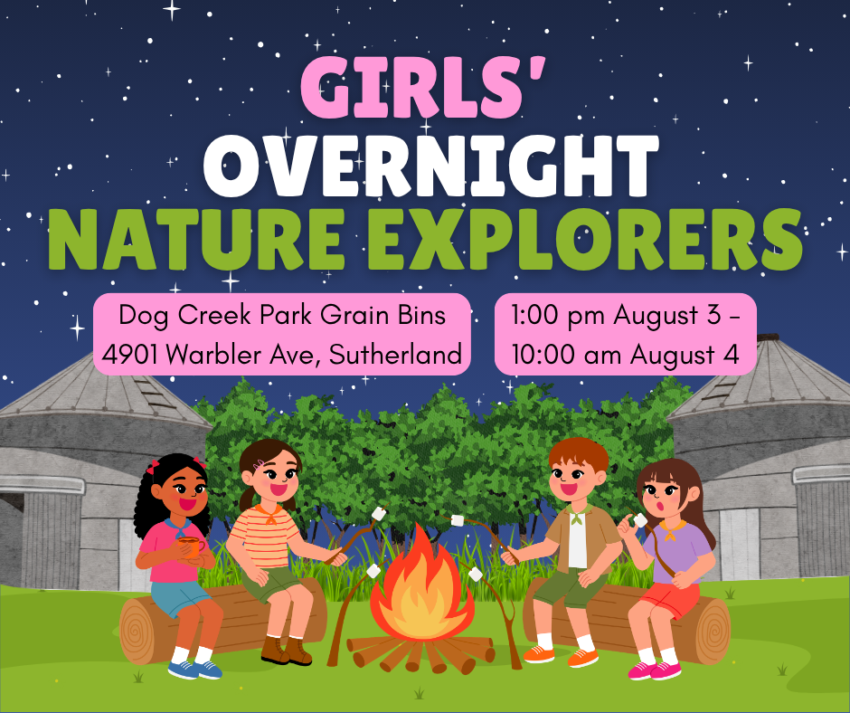 Girls’ Overnight Nature Explorers Camp showing campfire with girls and night sky in front of bin cabins