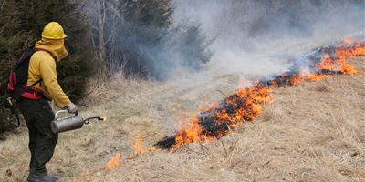 Burns fire break