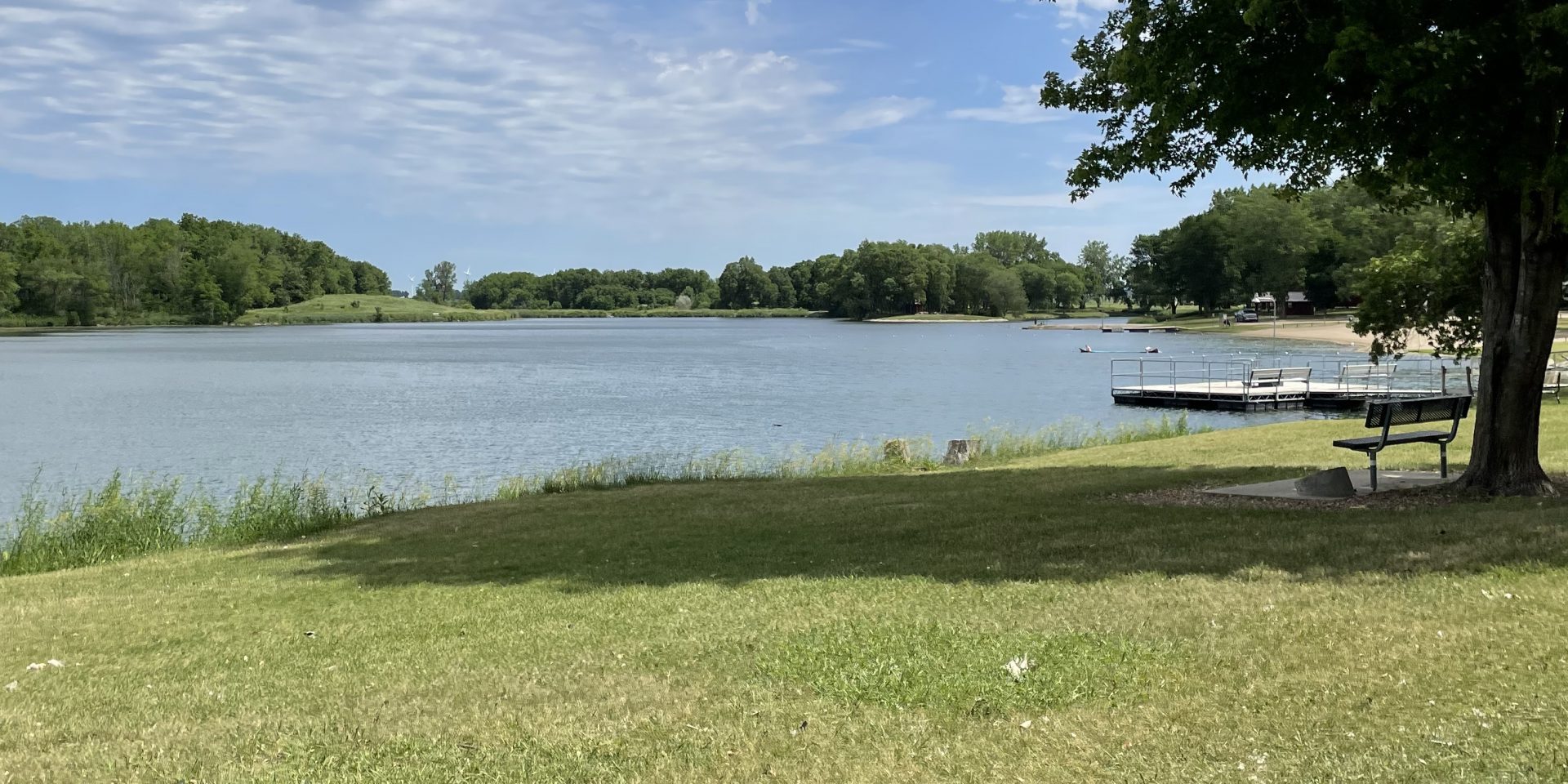 Lake shoreline with dock and green trees.